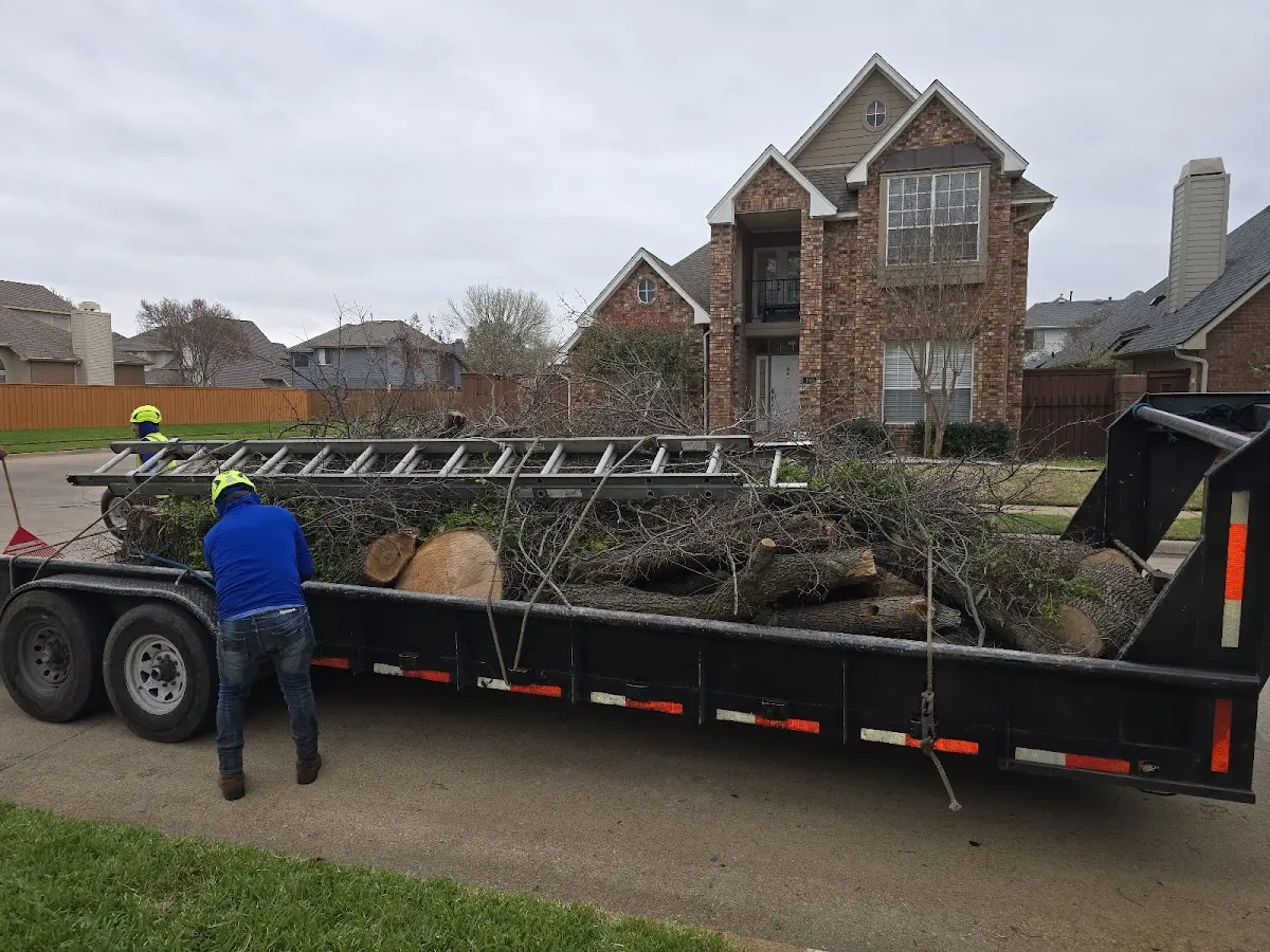 Expert Tree Fertilization with proper safety equipment in Bivins